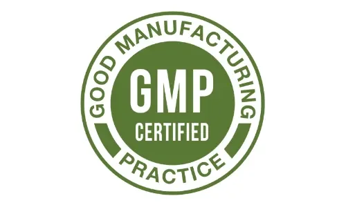 Arteris Plus GMP Certified